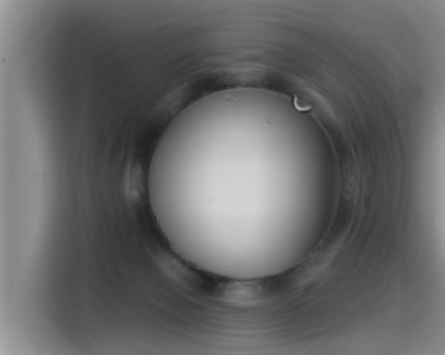 X0000115250077200911061227