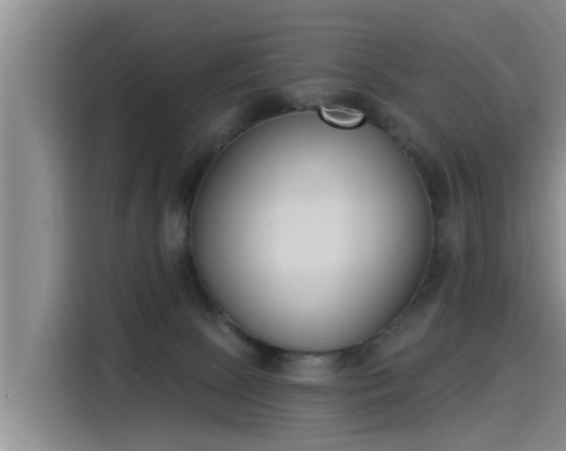 X0000115250081200911061227