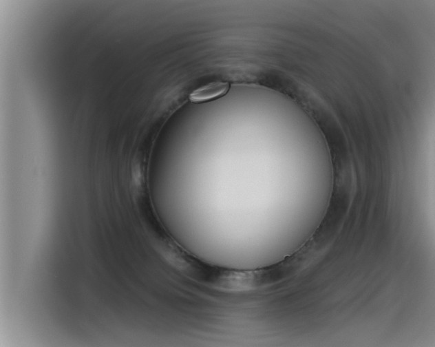 X0000115250084200911061227