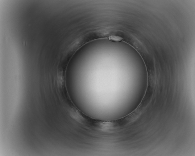 X0000115250085200911061227