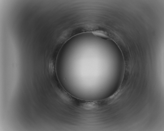 X0000115250086200911061227