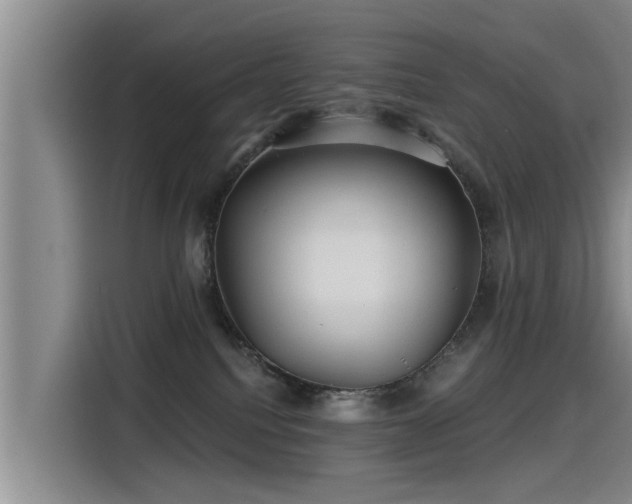 X0000115250088200911061227