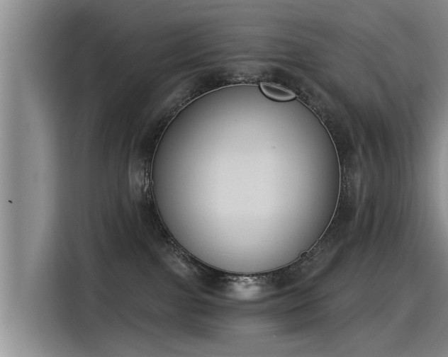 X0000115250091200911061227