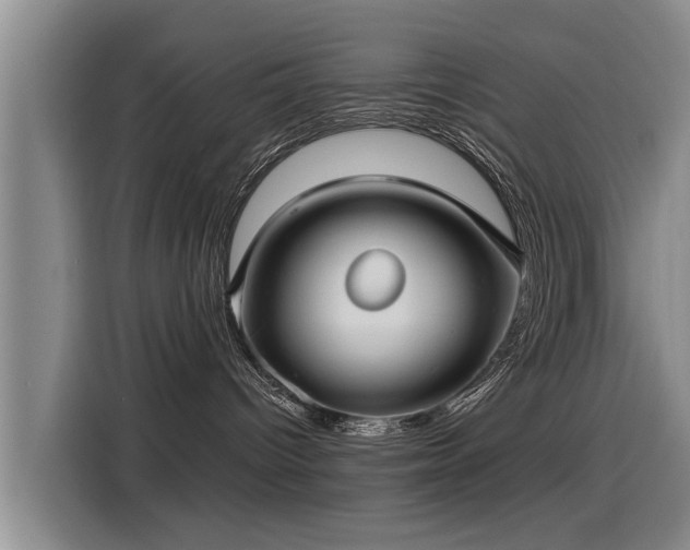 X0000115250096200911061227