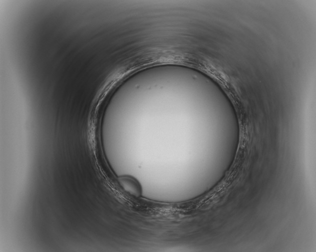 X0000115250098200911061227