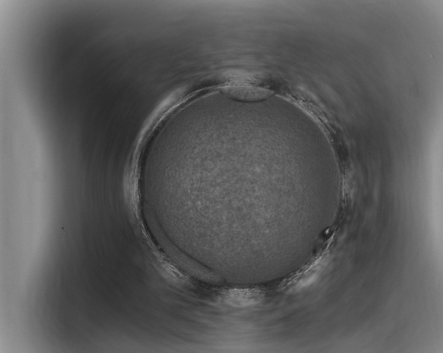 X0000115250101200911061227