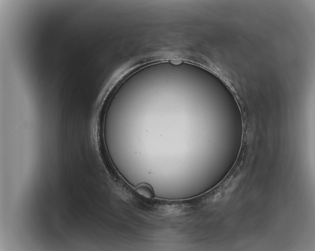 X0000115250103200911061227