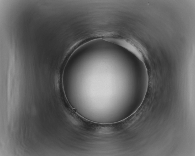X0000115250107200911061226