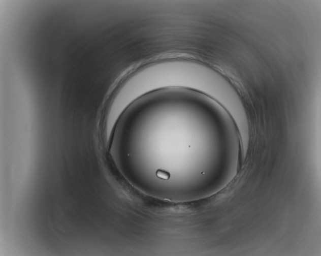 X0000115250112200911061226