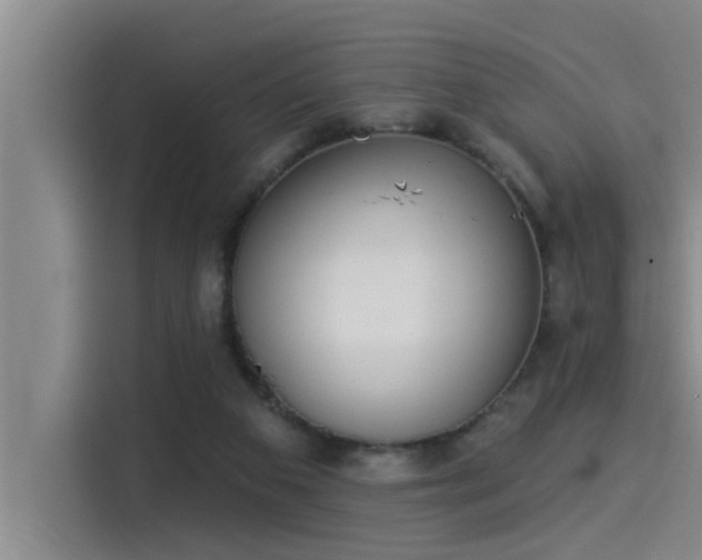 X0000115250113200911061226