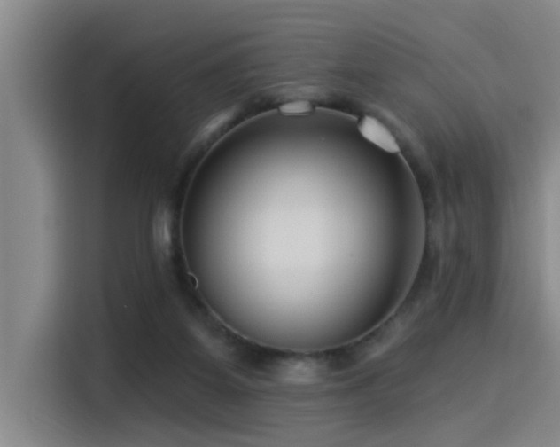 X0000115250115200911061226