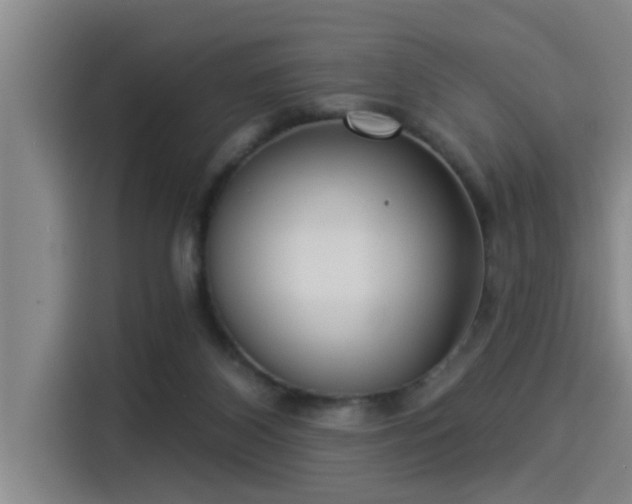 X0000115250116200911061226