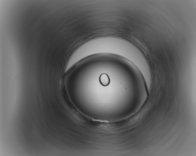 X0000115250117200911061226