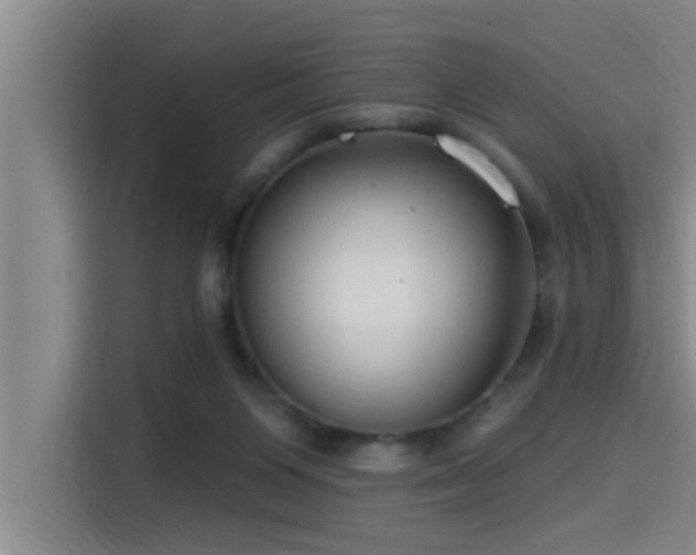X0000115250119200911061226
