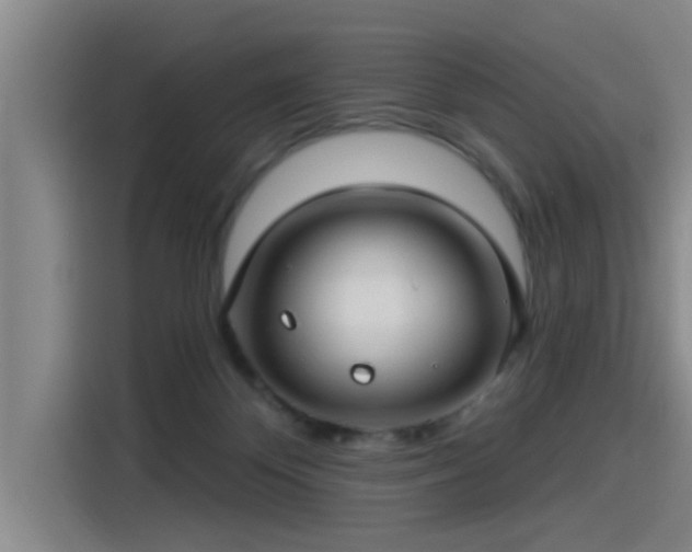 X0000115250124200911061226