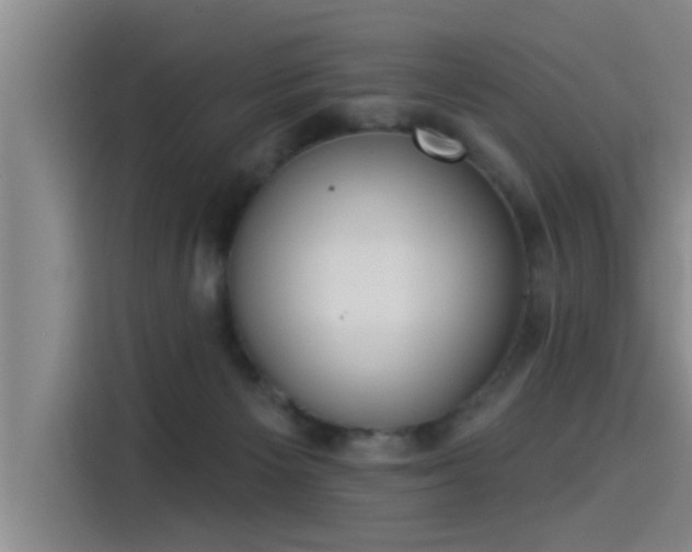 X0000115250125200911061226