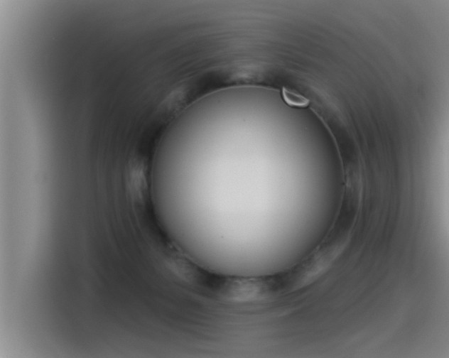 X0000115250127200911061226