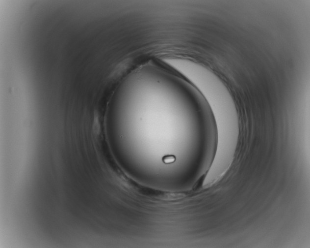 X0000115250128200911061226