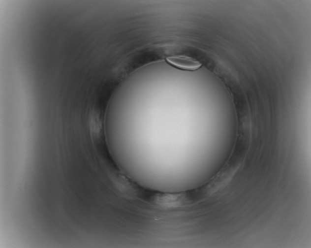 X0000115250129200911061226