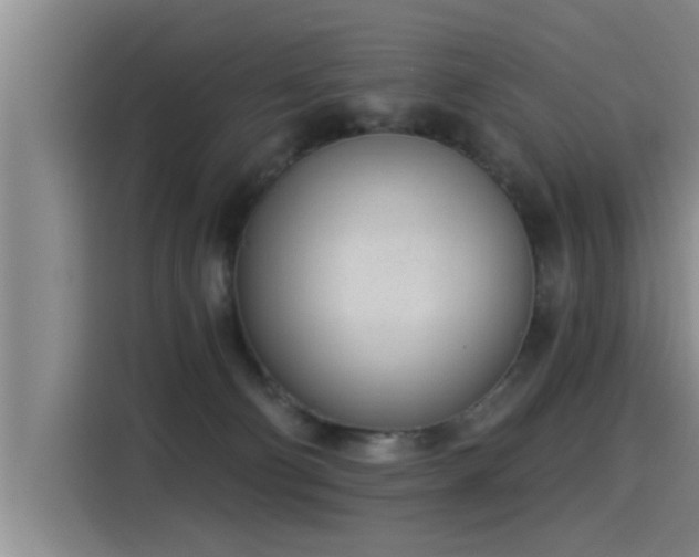 X0000115250130200911061226