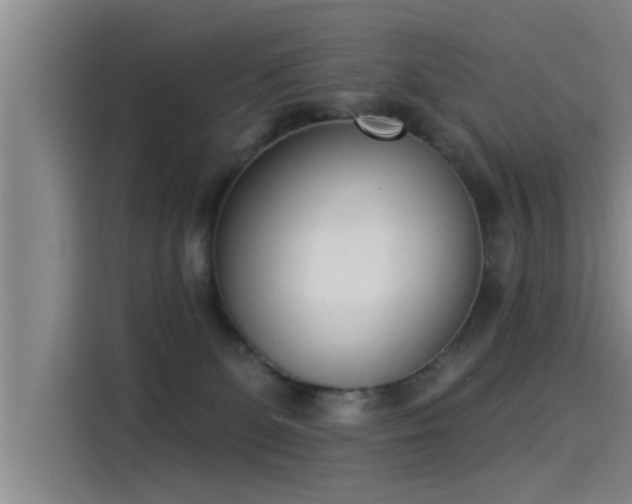 X0000115250131200911061226