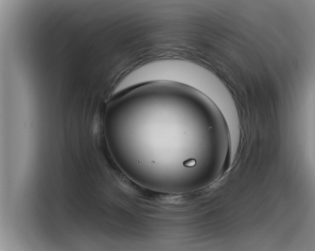 X0000115250132200911061226