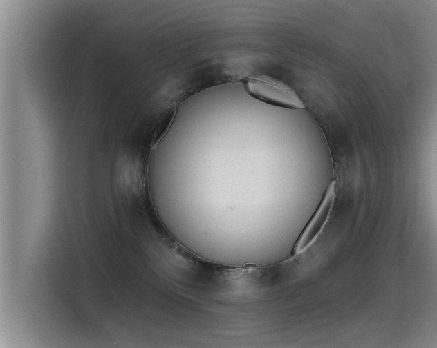 X0000115250136200911061226