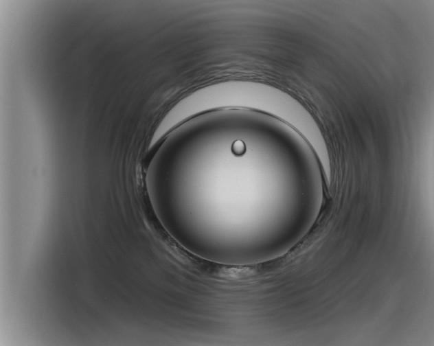X0000115250137200911061226