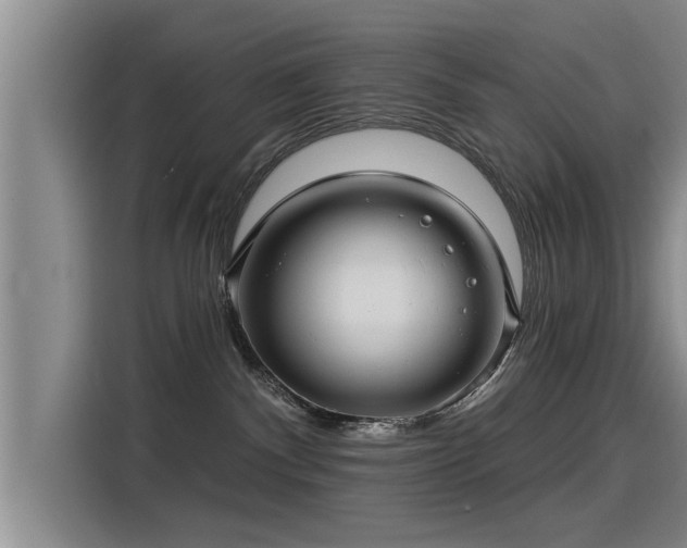 X0000115250140200911061226