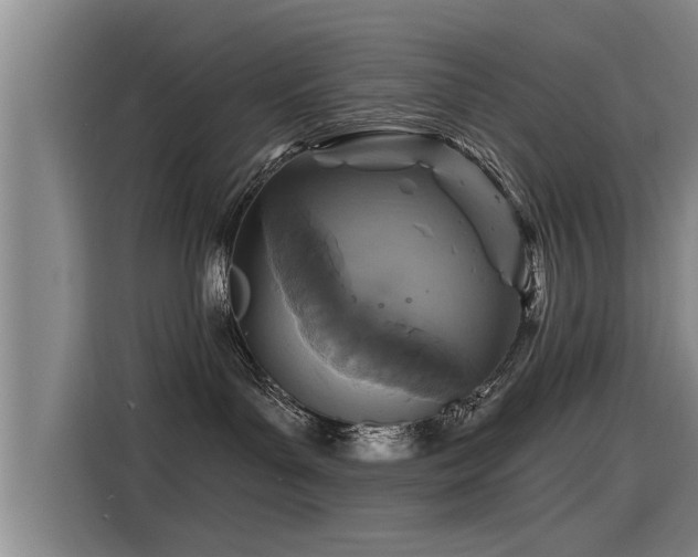 X0000115250143200911061226