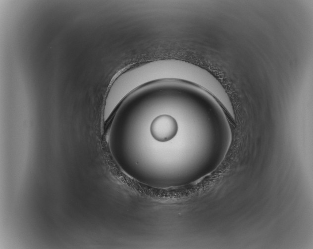 X0000115250144200911061226