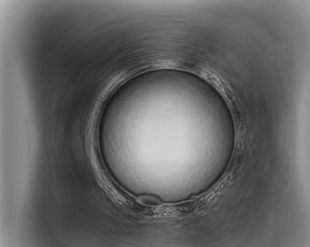 X0000115250145200911061225