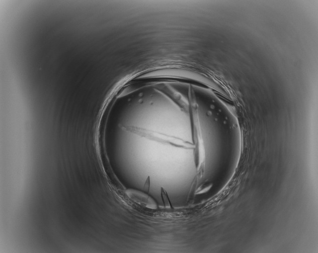 X0000115250147200911061225