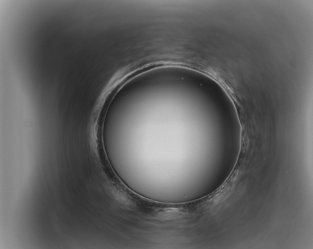 X0000115250151200911061225