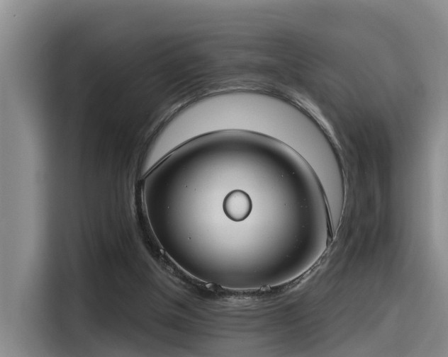 X0000115250154200911061225