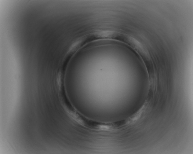 X0000115250167200911061226