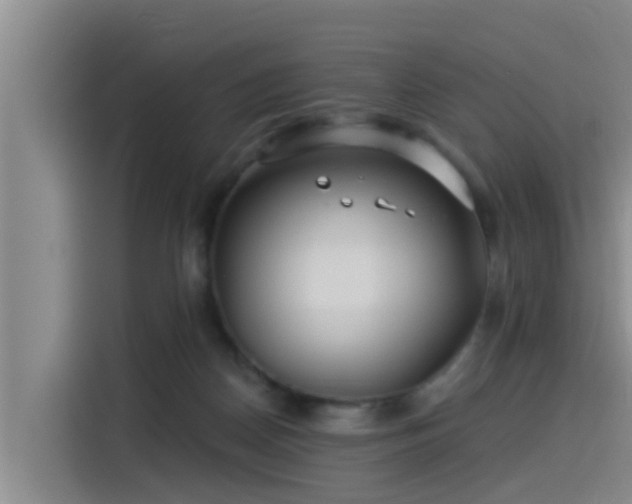 X0000115250170200911061226