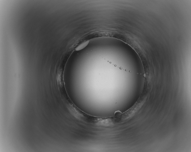 X0000115250185200911061226