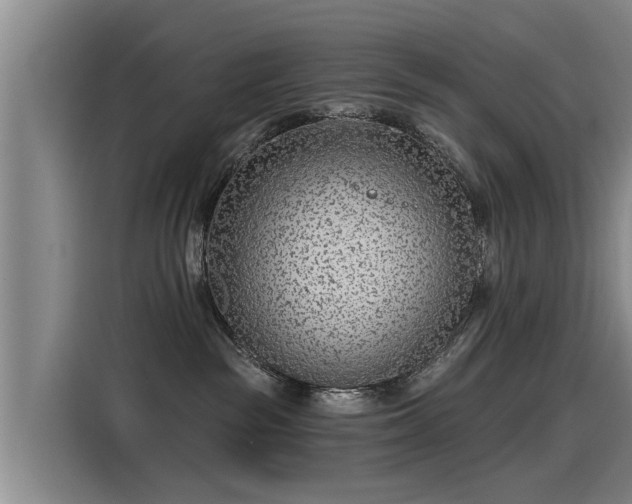 X0000115250189200911061226