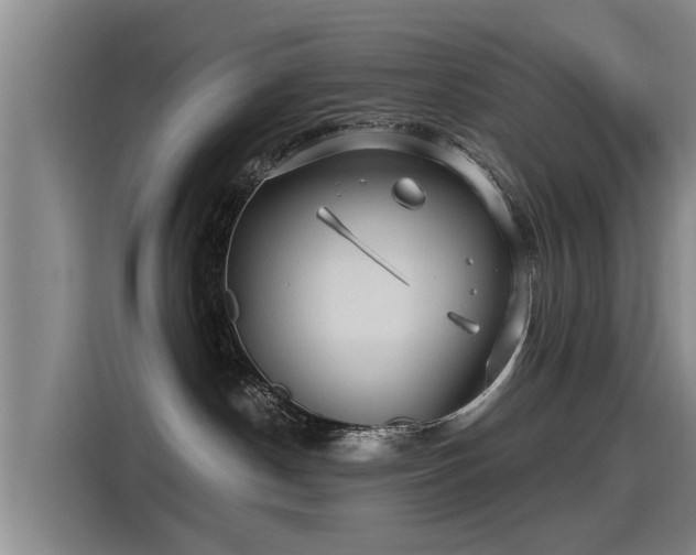 X0000115250190200911061226