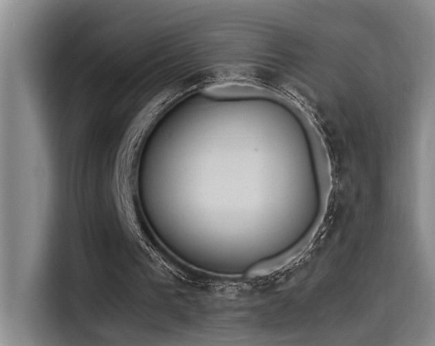 X0000115250193200911061225
