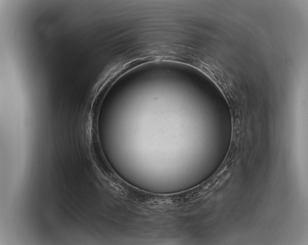 X0000115250194200911061225
