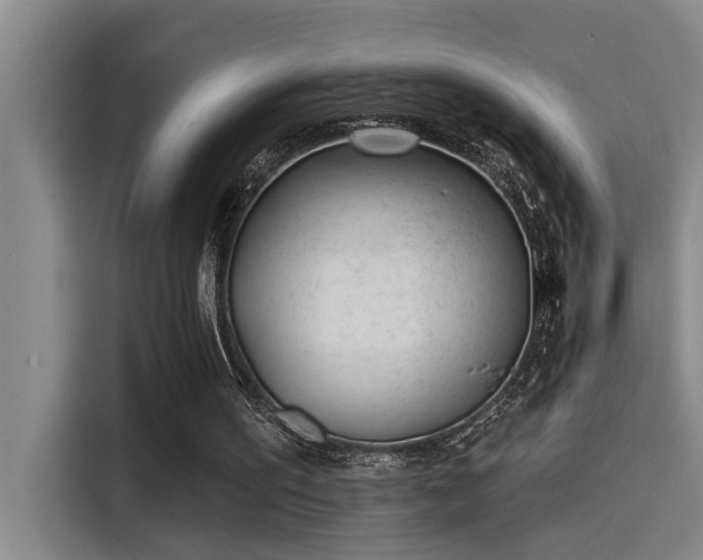 X0000115250195200911061225