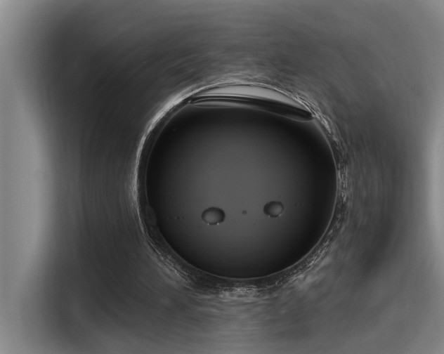 X0000115250196200911061225