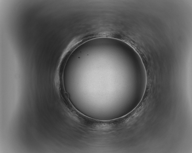 X0000115250198200911061225