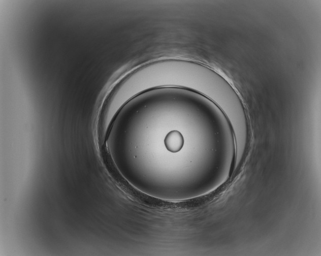 X0000115250199200911061225