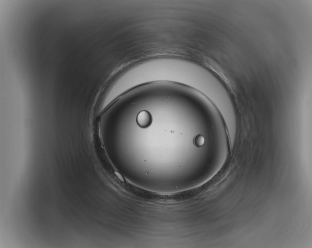 X0000115250203200911061225
