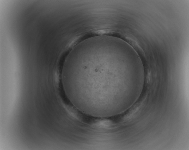 X0000115250210200911061225