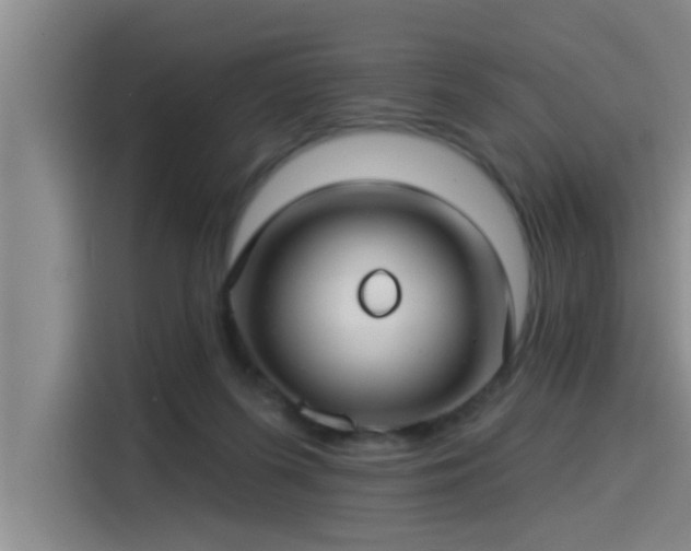X0000115250215200911061225