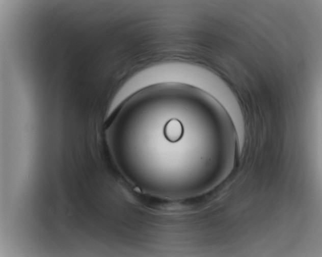 X0000115250219200911061225